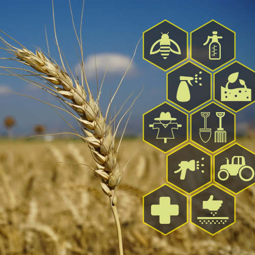 Ứng Dụng Công Nghệ – Nâng Tầm Nông Sản, Phát Triển Bền Vững